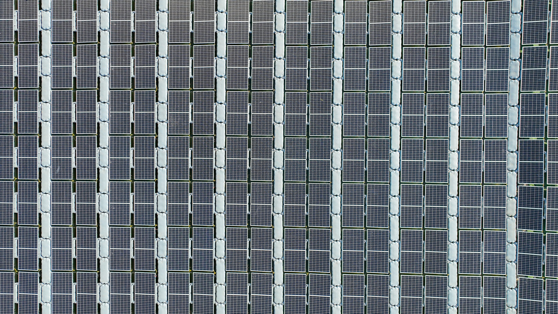 פרויקט חוות דגים לוחמי - 10