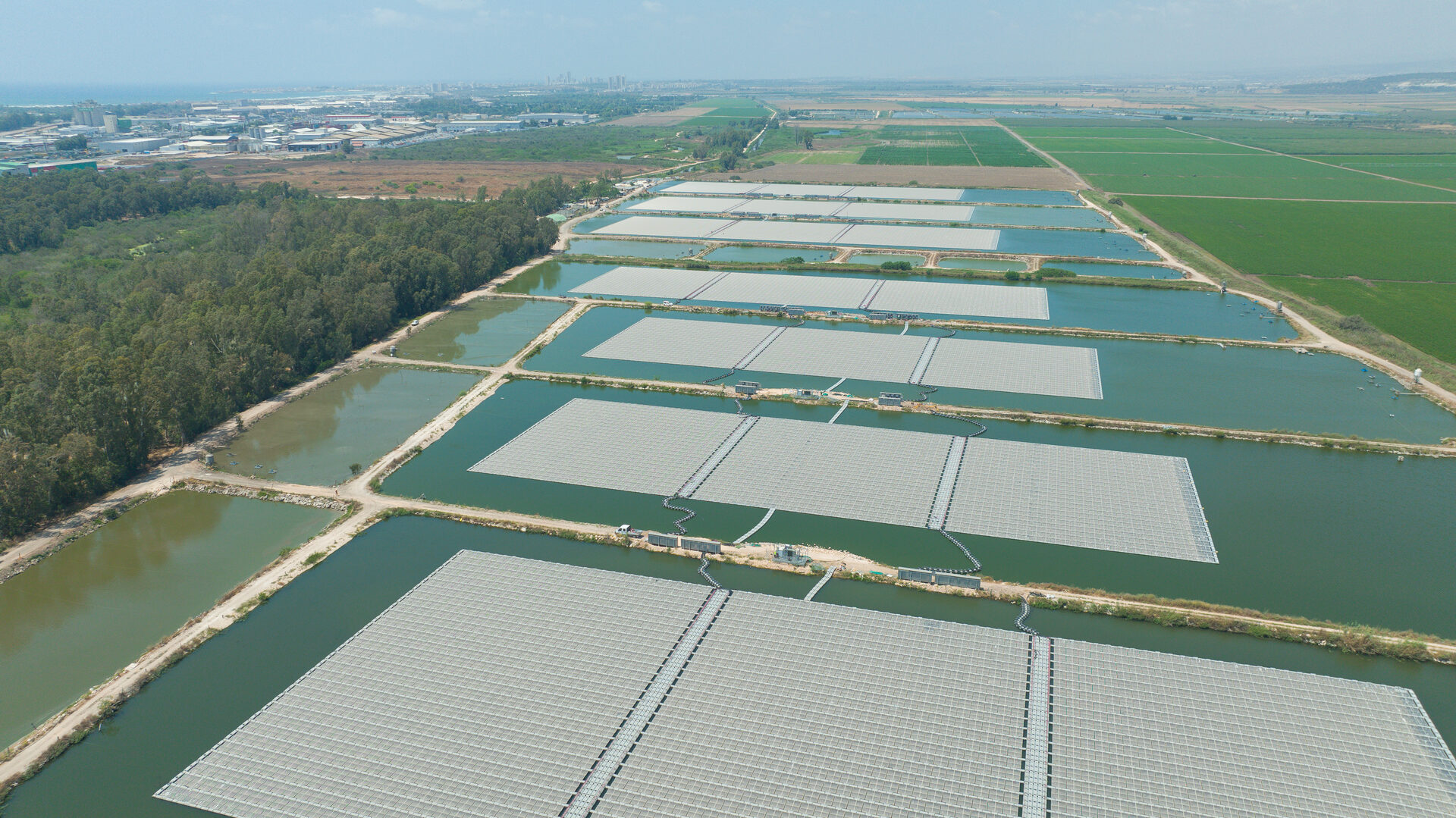 פרויקט חוות דגים לוחמי - 12